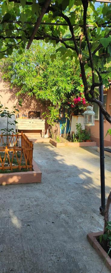 Casa Family Apartment Eforie Sud  Exterior photo